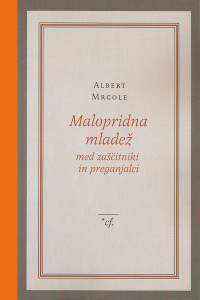 Malopridna mladež med zaščitniki in preganjalci